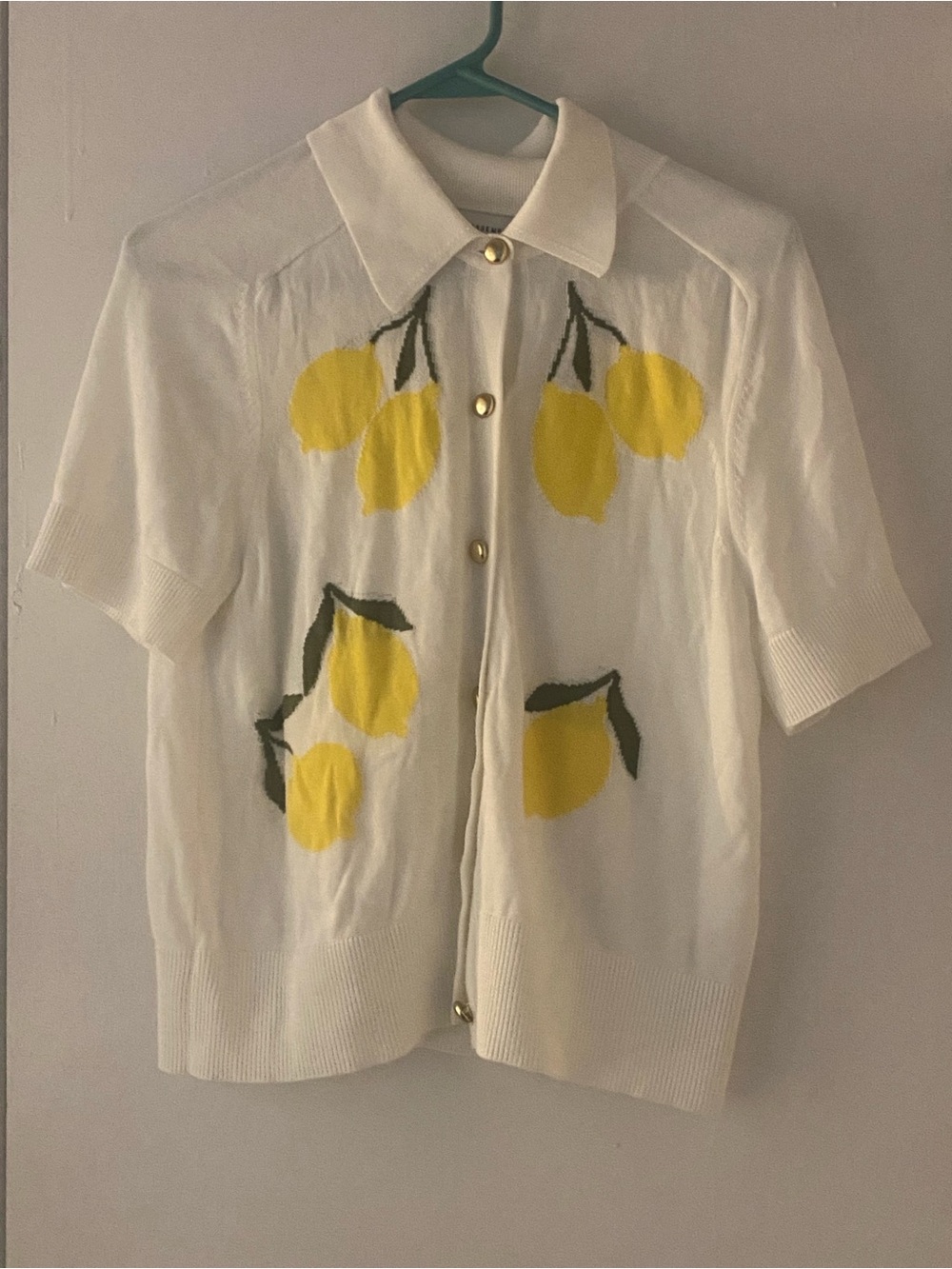 Free Assembly Lemon Print Cardigan Sweater - Picture 3 of 9
